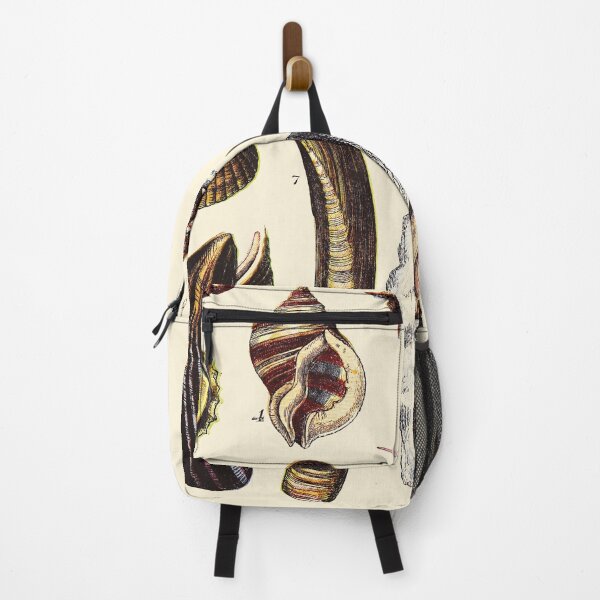 Item preview, Vintage sea life illustration - Pearly top - periwinkle - patella - ditto - scalaria - cokle - razor-shell - mussel and pholas designed and sold by Gardenlibrary.