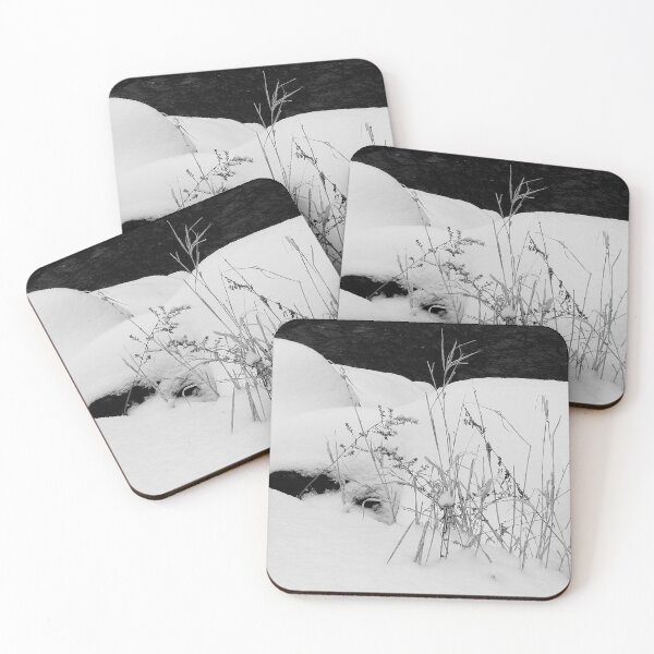 Item preview, Weeds designed and sold by J Rier Photography.