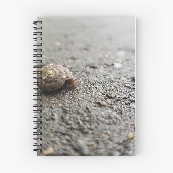 Item preview, Snail Pace designed and sold by JJPumpkins.