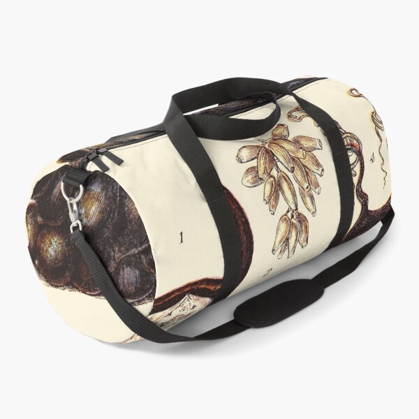 Item preview, Vintage sea life illustration - Eggs of skate - eggs of purpura - cluster of whelk - egg of dog-fish and cluster of sepia designed and sold by Gardenlibrary.