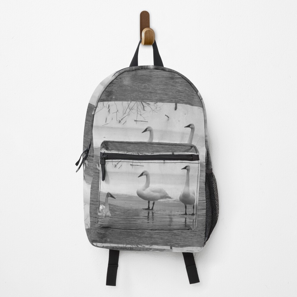 Item preview, Backpack designed and sold by jrier.