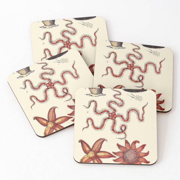 Item preview, Vintage sea life illustration - Madrepore - Urchin - brittle-star - five-finger star and sun-star designed and sold by Gardenlibrary.