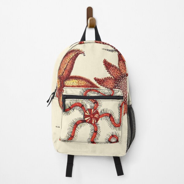 Item preview, Vintage sea life illustration - Madrepore - Urchin - brittle-star - five-finger star and sun-star designed and sold by Gardenlibrary.