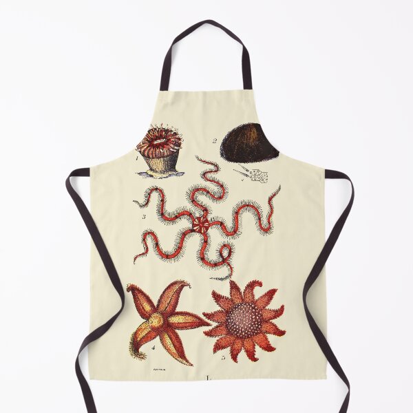Item preview, Vintage sea life illustration - Madrepore - Urchin - brittle-star - five-finger star and sun-star designed and sold by Gardenlibrary.