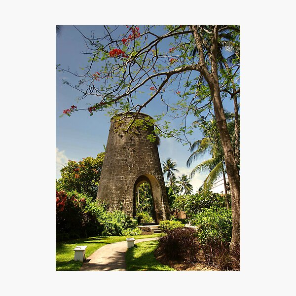 Sugar Mill Barbados Photographic Print