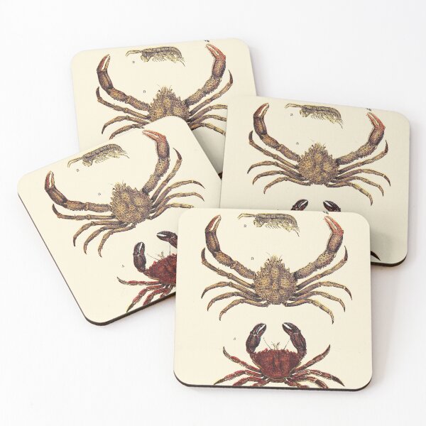 Item preview, Vintage sea life illustration - Prawn - sandskipper - spider-crab and velvet fiddler designed and sold by Gardenlibrary.