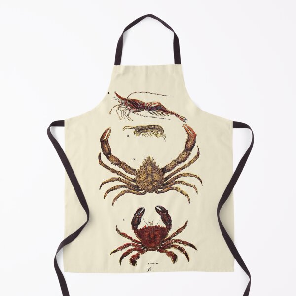 Item preview, Vintage sea life illustration - Prawn - sandskipper - spider-crab and velvet fiddler designed and sold by Gardenlibrary.