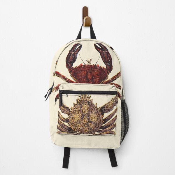 Item preview, Vintage sea life illustration - Prawn - sandskipper - spider-crab and velvet fiddler designed and sold by Gardenlibrary.
