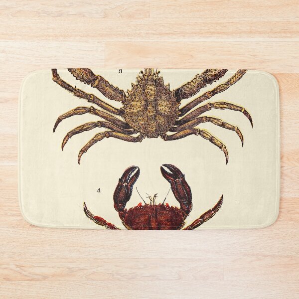 Item preview, Vintage sea life illustration - Prawn - sandskipper - spider-crab and velvet fiddler designed and sold by Gardenlibrary.