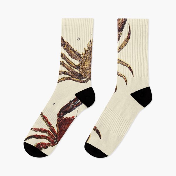 Item preview, Vintage sea life illustration - Prawn - sandskipper - spider-crab and velvet fiddler designed and sold by Gardenlibrary.