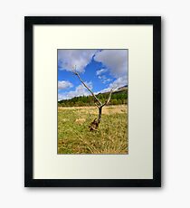 Glen Orchy Framed Print