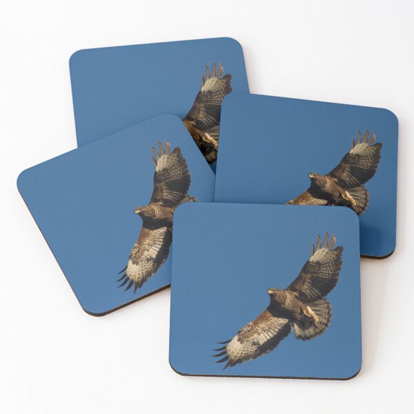 Item preview, Common Buzzard in flight designed and sold by Jon Lees.