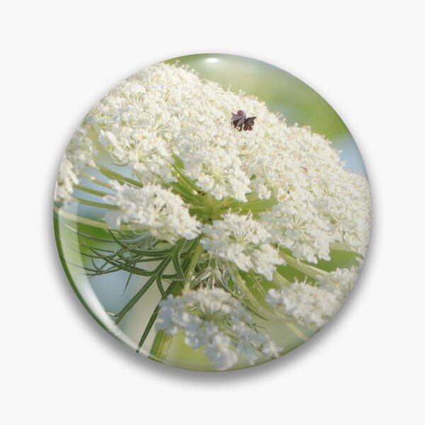 Item preview, Queen Anne's Lace designed and sold by Anita Oakley.