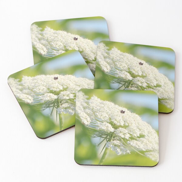 Item preview, Queen Anne's Lace designed and sold by Anita Oakley.