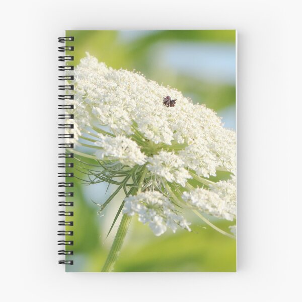 Item preview, Queen Anne's Lace designed and sold by Anita Oakley.