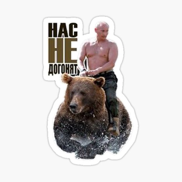 Путин и медведь фото