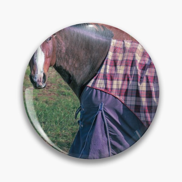 Item preview, Horse in a Blanket designed and sold by kenmo.