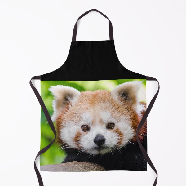 Item preview, Red Panda designed and sold by flickertoaflame.