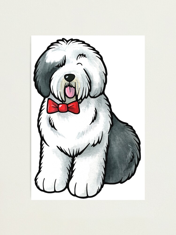 Old English Sheepdog Photographic Print for Sale by