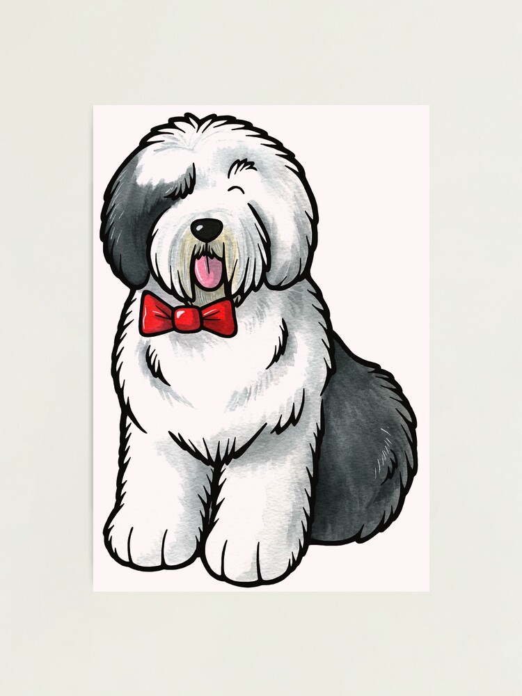 Old English Sheepdog Stock Vector Image & Art - Alamy