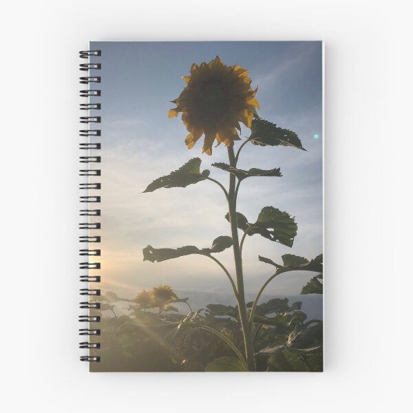 Item preview, Sunflower in a Field designed and sold by alisonrog.