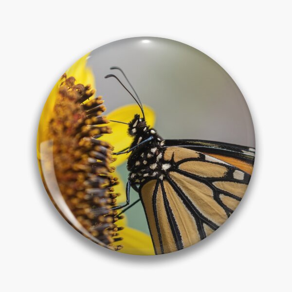 Item preview, Monarch 2020-2 designed and sold by Thomasyoung.
