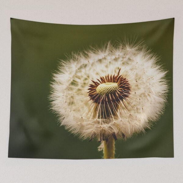 Item preview, Dandelion Love designed and sold by pkcaperture.