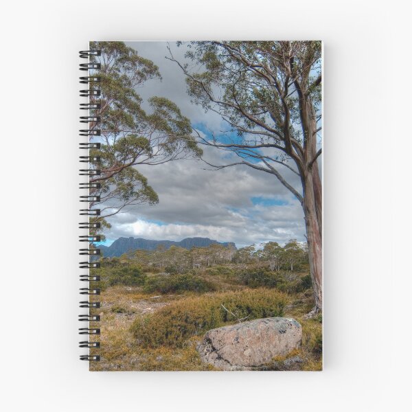 Item preview, Pinestone Valley, Overland Track, Tasmania designed and sold by Erik Schlogl.