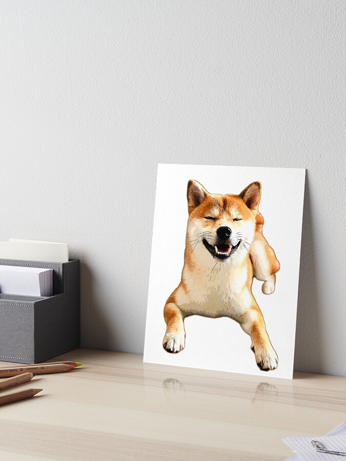 Sunshine shibas store