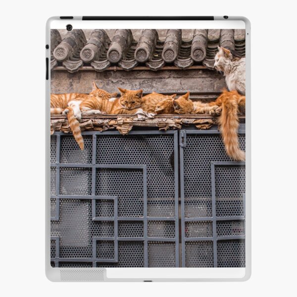 Un grupo de gatos manteniéndose caliente Vinilo para iPad