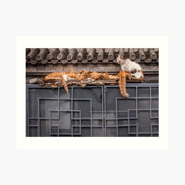 A bunch of cats keeping herself warm Art Print