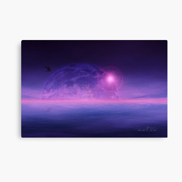 Earth Rise Canvas Print