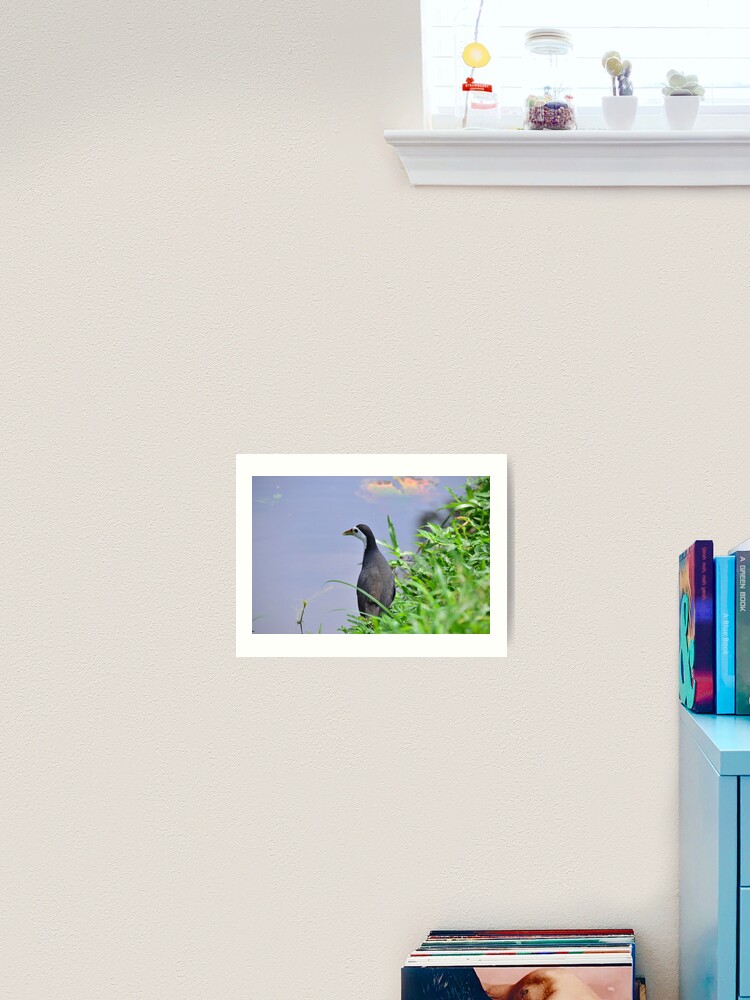 Burung Ayam Ayam Art Print By Nurulazila Redbubble
