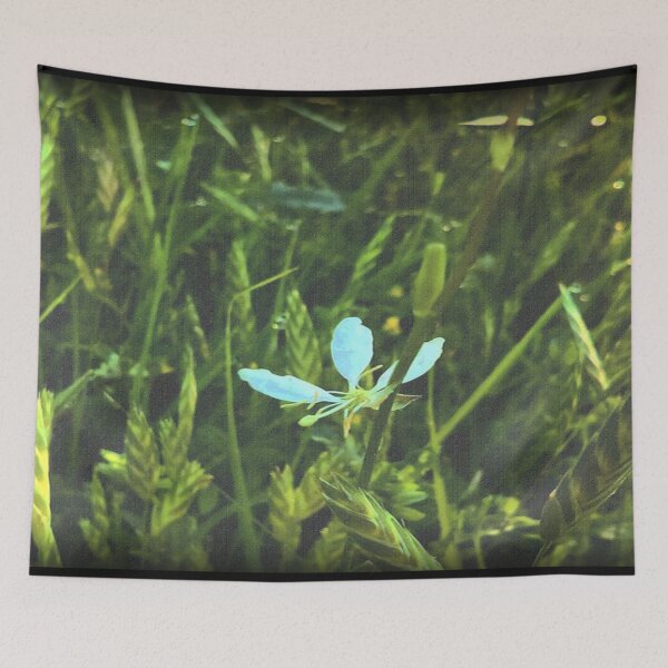 Item preview, a white flower in green grass  designed and sold by Zen's art shop.