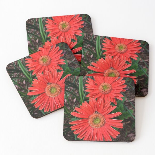 Item preview, Gerbera Daisies  designed and sold by Douglas E. Welch Design and Photography.