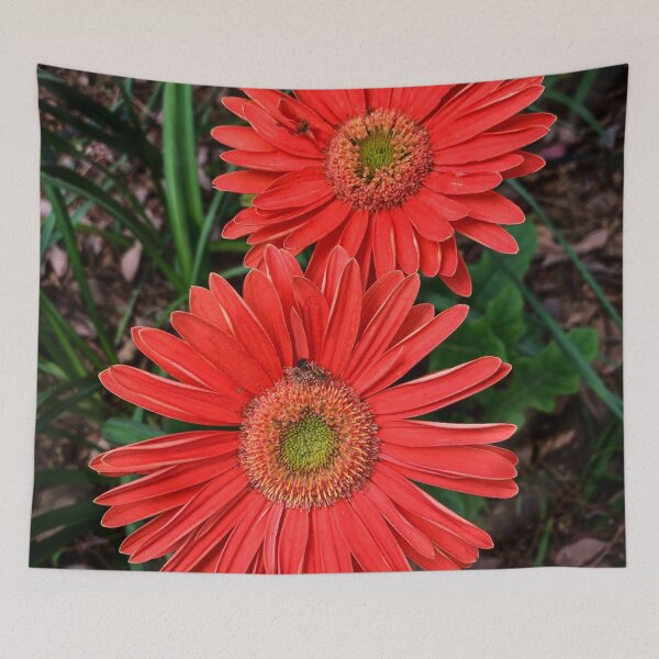 Item preview, Gerbera Daisies  designed and sold by Douglas E. Welch Design and Photography.