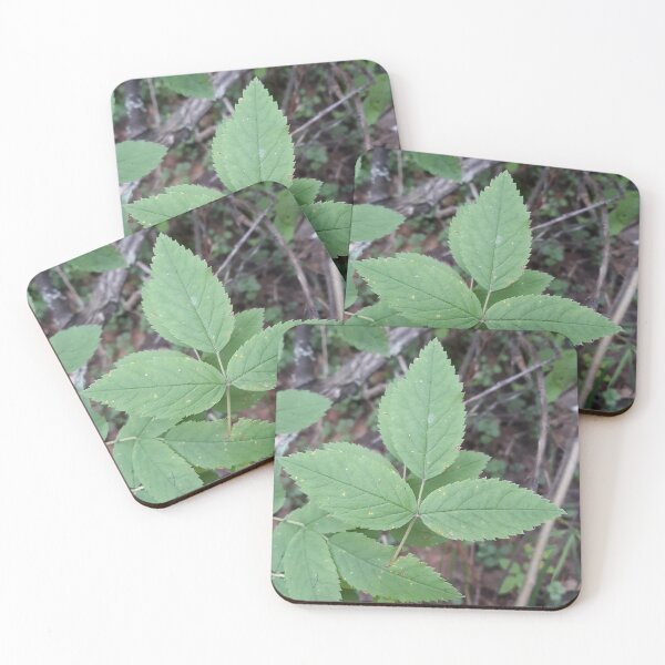 Item preview, Wild Rose Leaves designed and sold by Chaotic-Coyote.