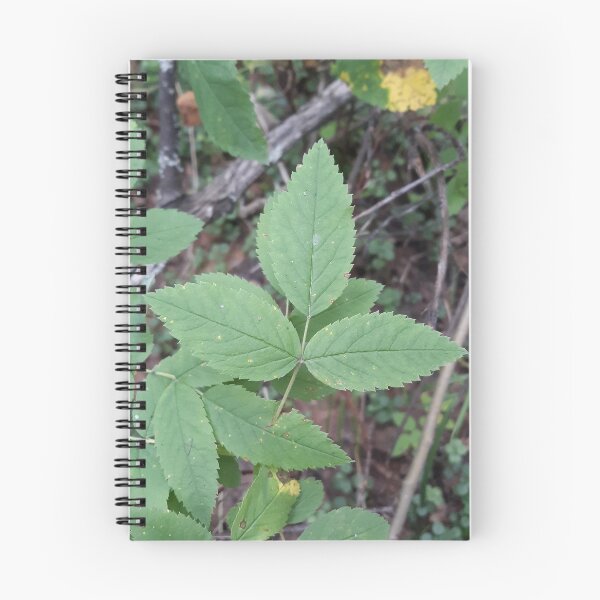 Item preview, Wild Rose Leaves designed and sold by Chaotic-Coyote.