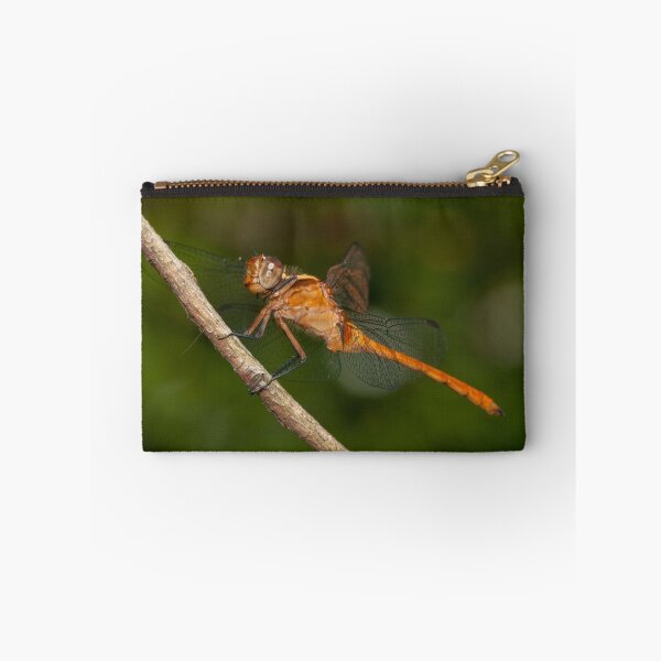Item preview, Fiery Skimmer Dragonfly - Orthetrum villosovittatum designed and sold by Andrew Trevor-Jones.