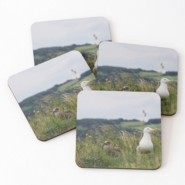 Item preview, Gulls designed and sold by Jacquelie.
