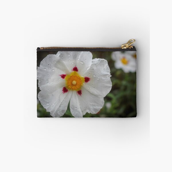 Item preview, White Rockrose (Cistus corbariensis)   designed and sold by Marilyn Harris.