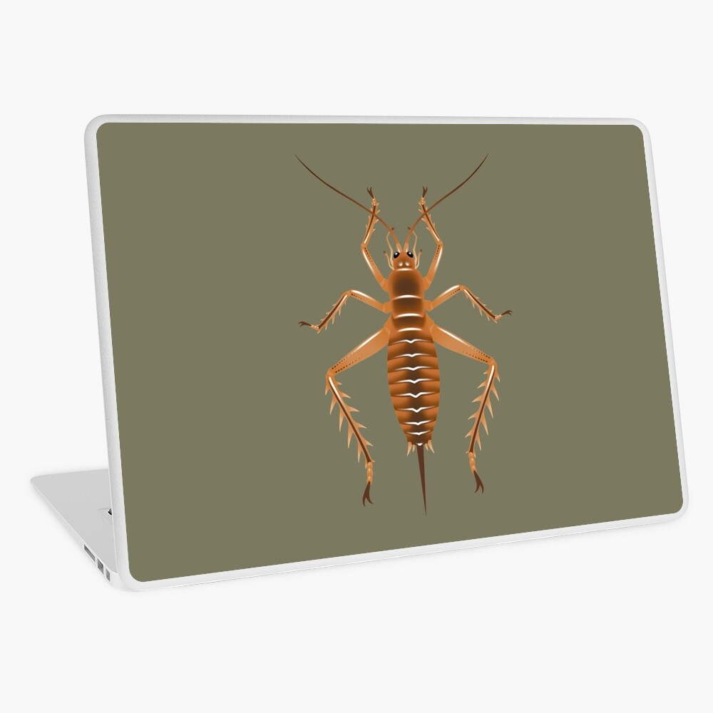 weta vinyl