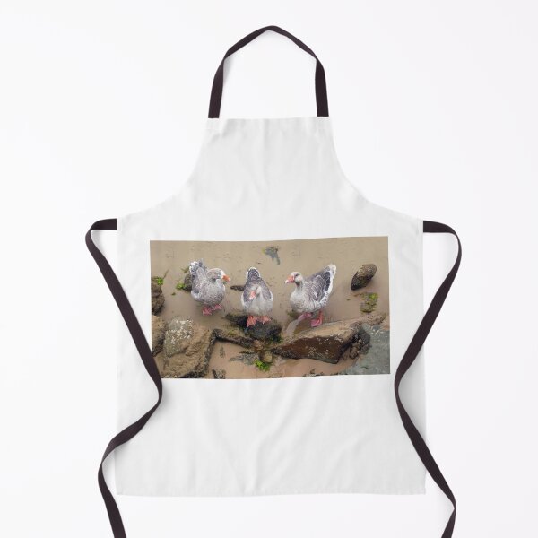 Item preview, The Three Geese of Apollo Bay designed and sold by Roz McQuillan Fine Art & Photography.