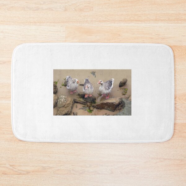Item preview, The Three Geese of Apollo Bay designed and sold by Roz McQuillan Fine Art & Photography.