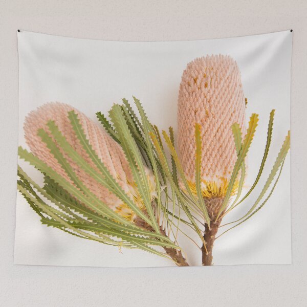 Item preview, Australian Native Banksia designed and sold by SamanthaKaspers.