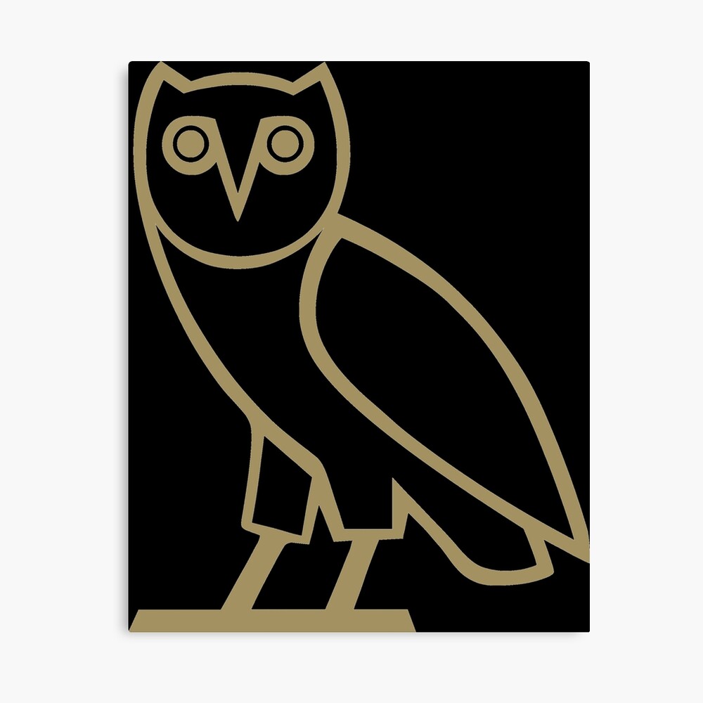 23+ Ovo Owl Pics