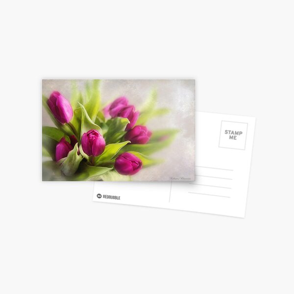 Tulip dreams Postcard