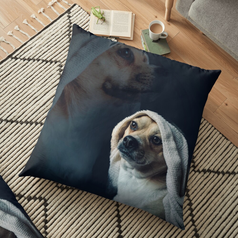 Olan Floor Pillow