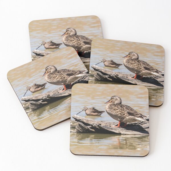 Item preview, Lady Mallard designed and sold by CarolM.
