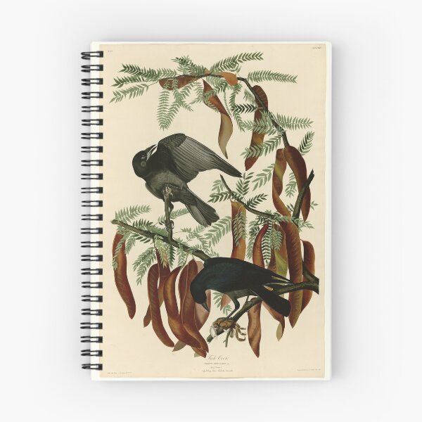 Item preview, 146 Fish Crow designed and sold by Bird-Lore.